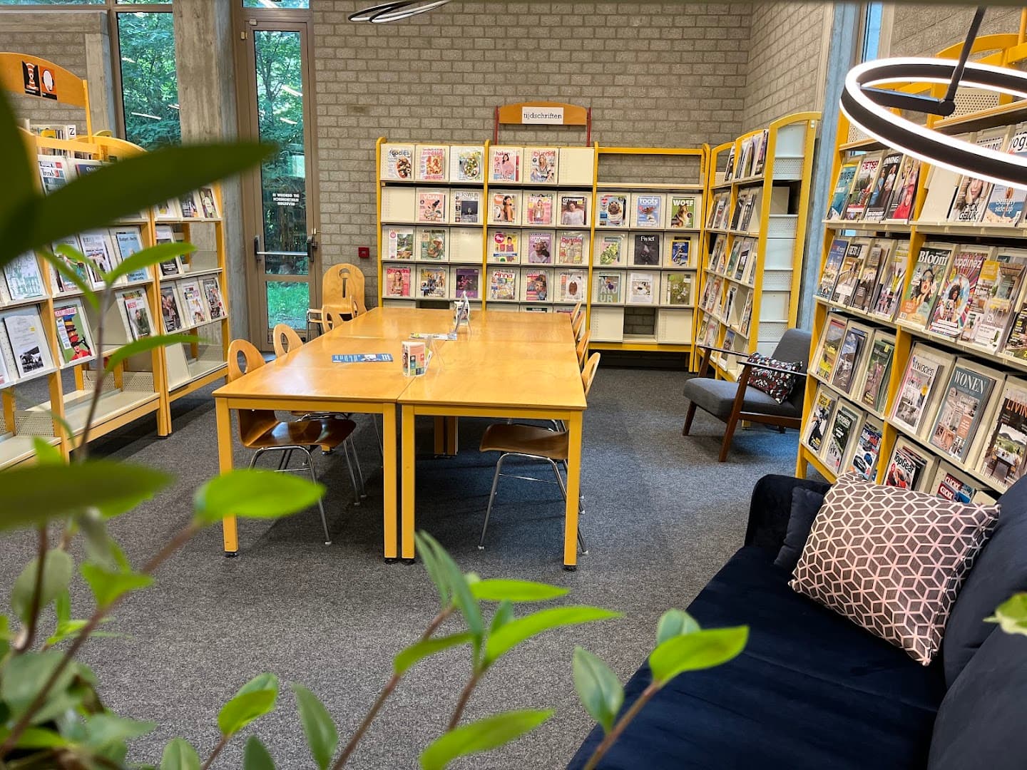 Library Westerlo backdrop