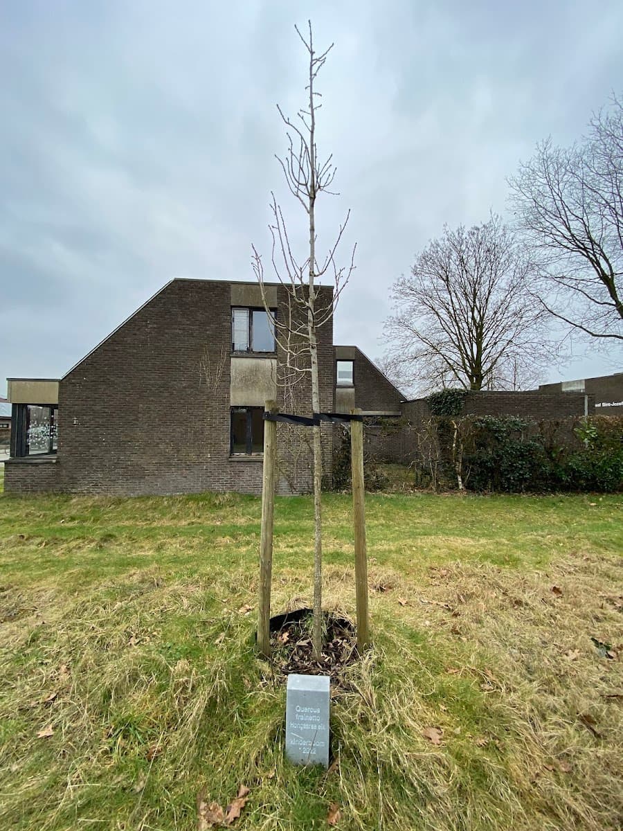 Vrijetijdshuis de Moer