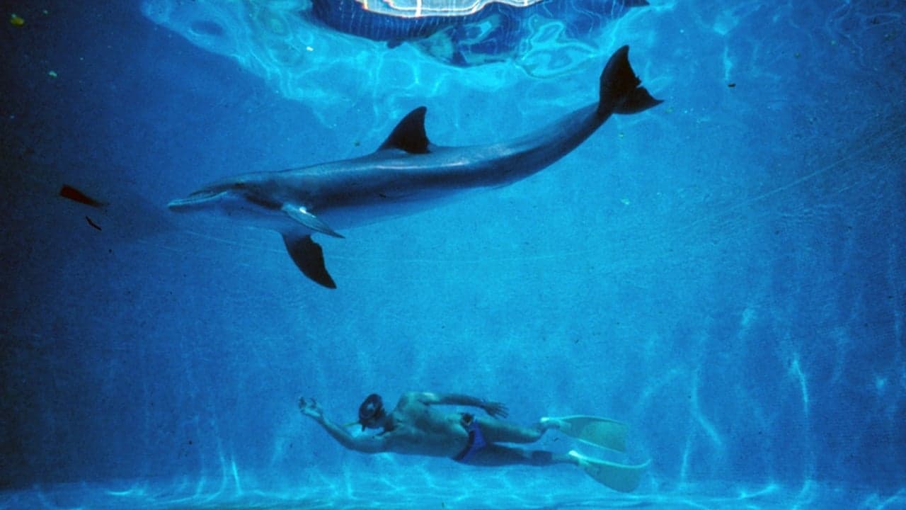 Le Grand Bleu backdrop