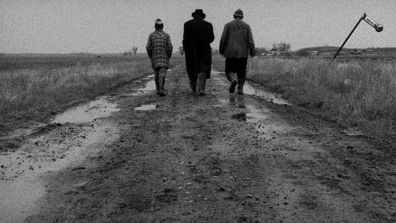 Sátántangó backdrop