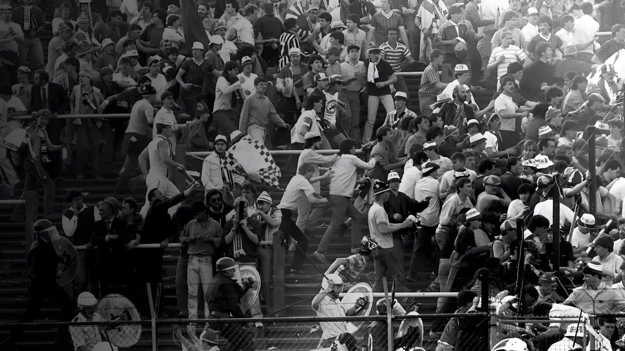 Heysel 1985 - Dans l'enfer de la foule backdrop