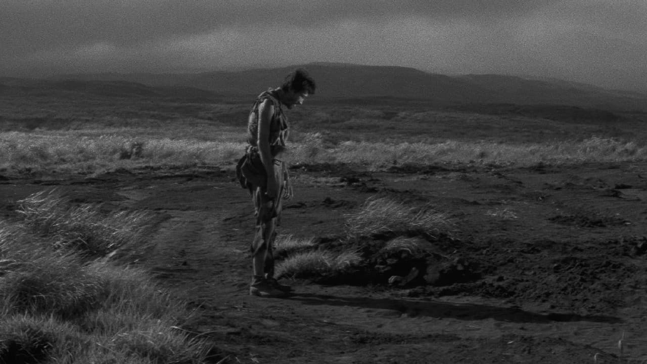 Feux dans la plaine backdrop