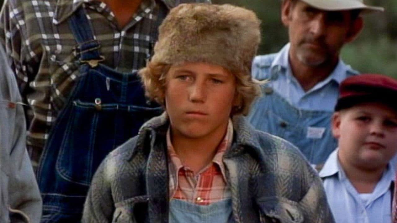 Waar de rode varen groeit backdrop