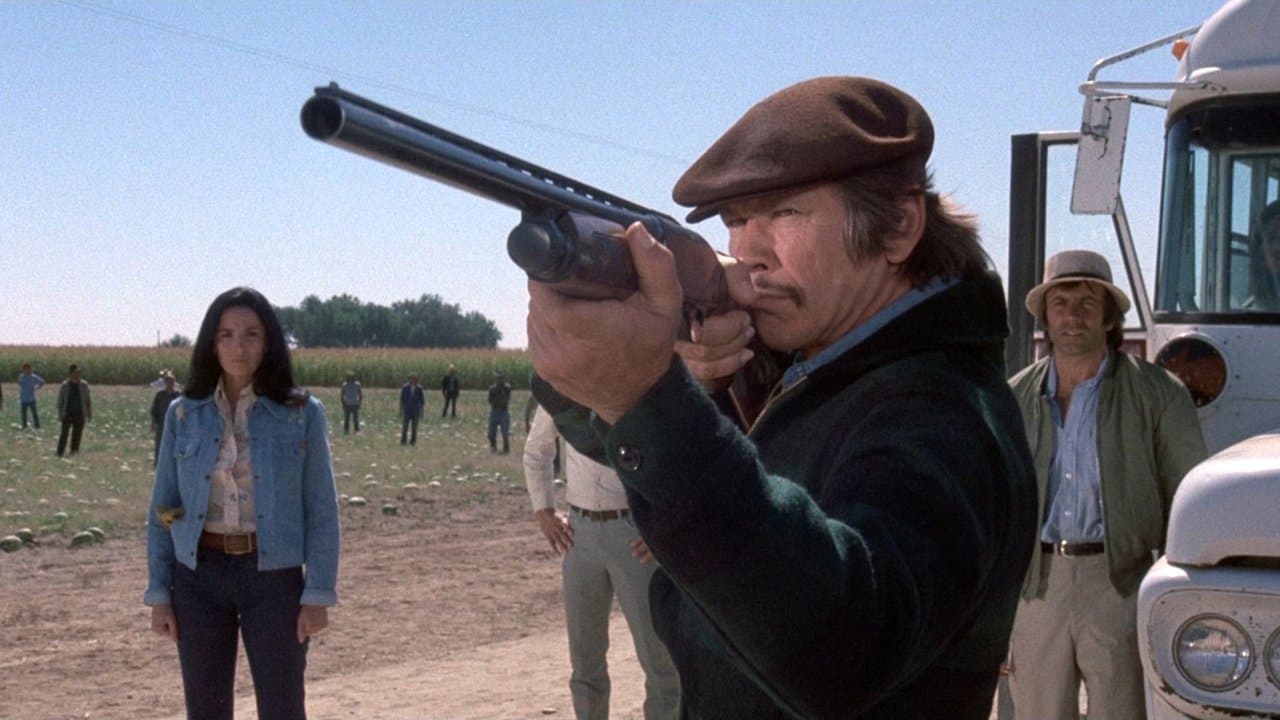 Monsieur Majestyk backdrop