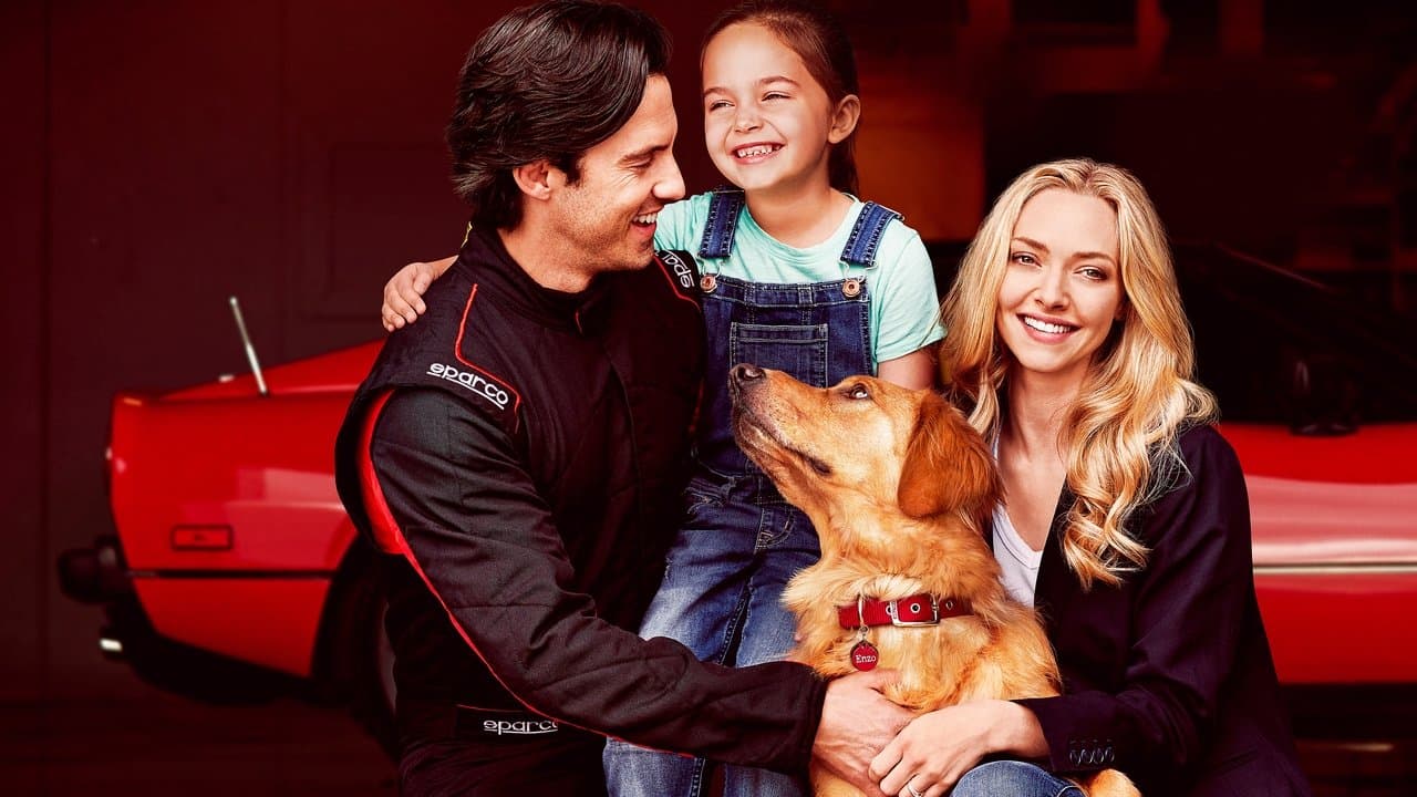 Dans les yeux d'Enzo backdrop