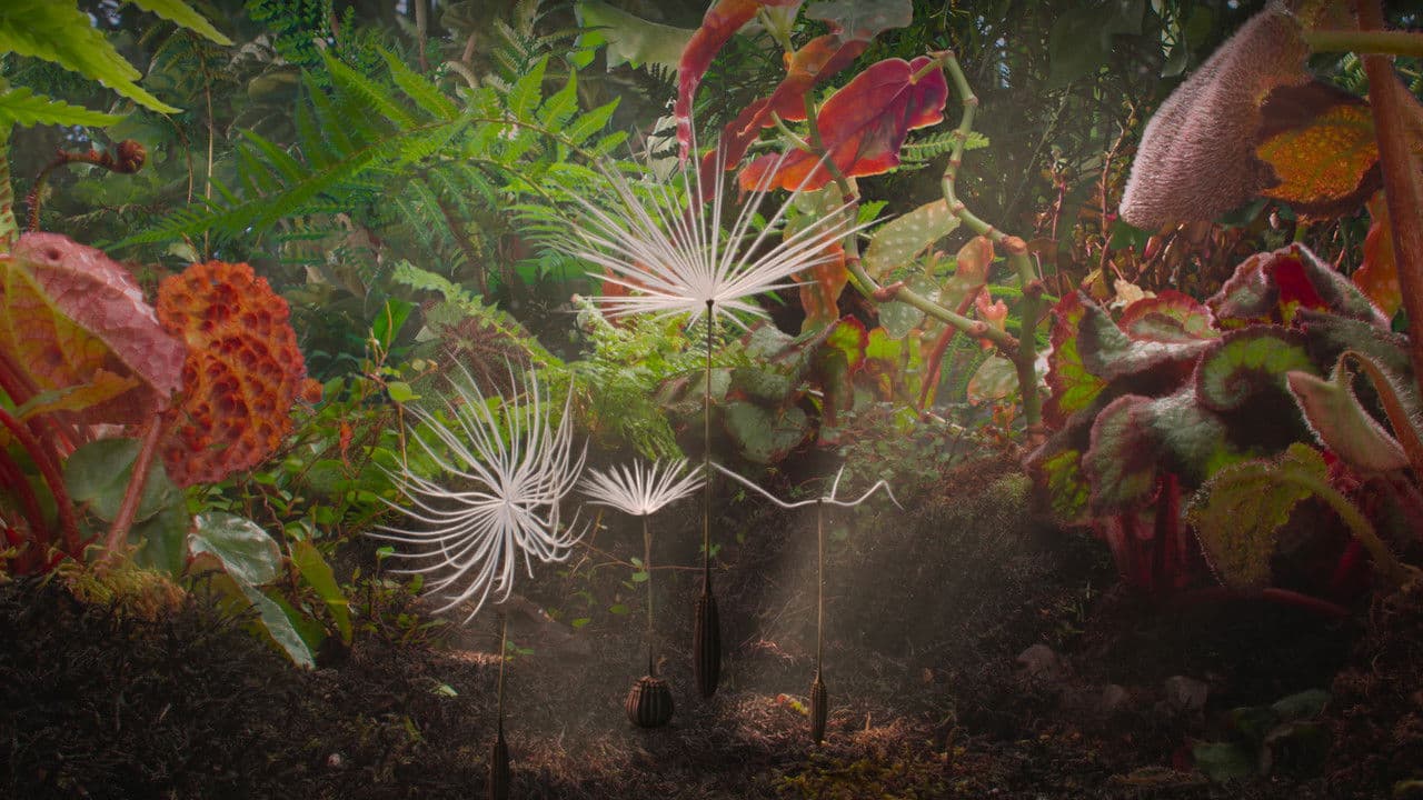 Dandelion's Odyssey backdrop