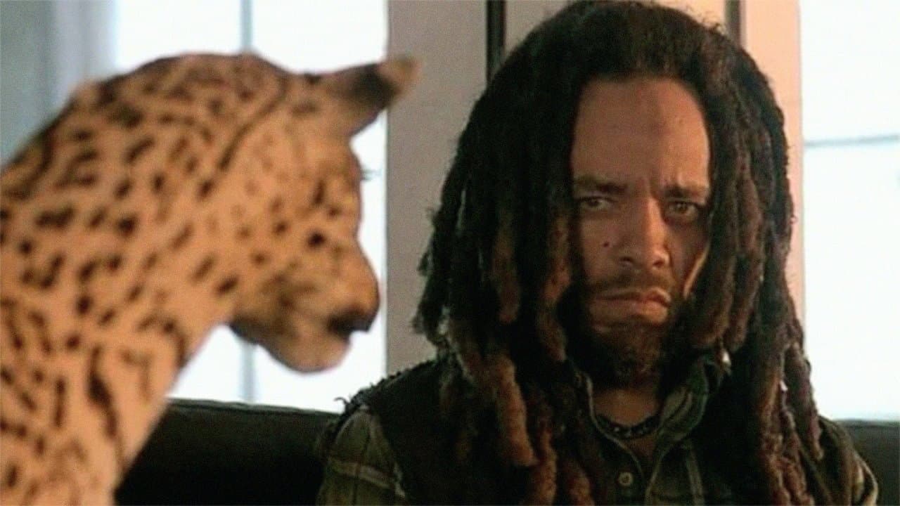 Que la chasse commence ! backdrop