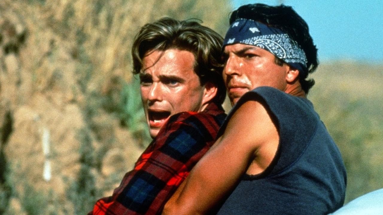 Les Princes de la ville backdrop