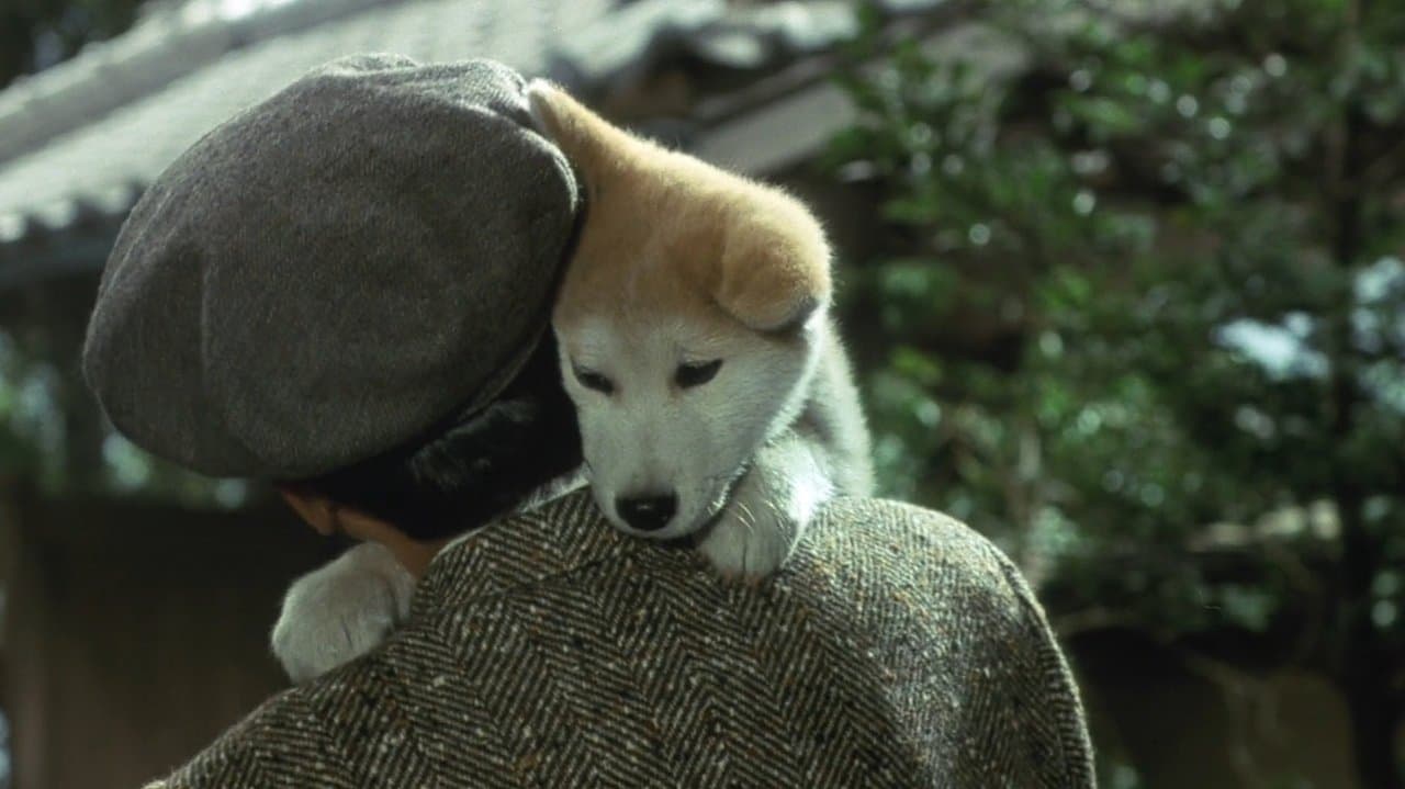 Hachiko, l'histoire vraie d'un chien fidèle backdrop