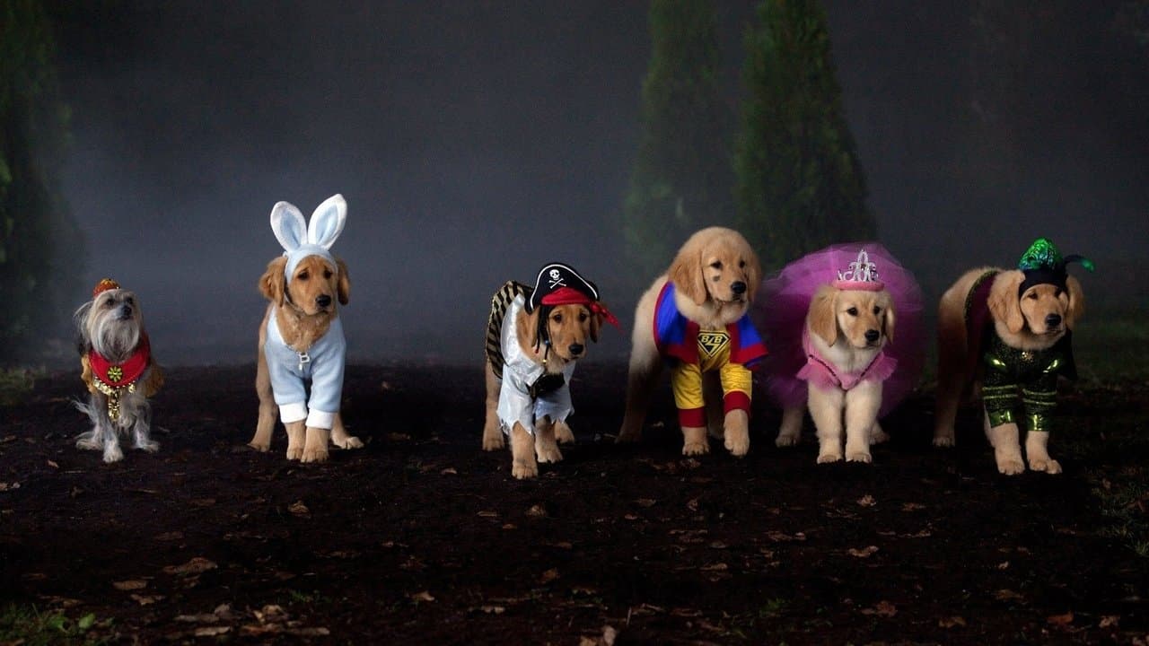 Spooky Buddies backdrop