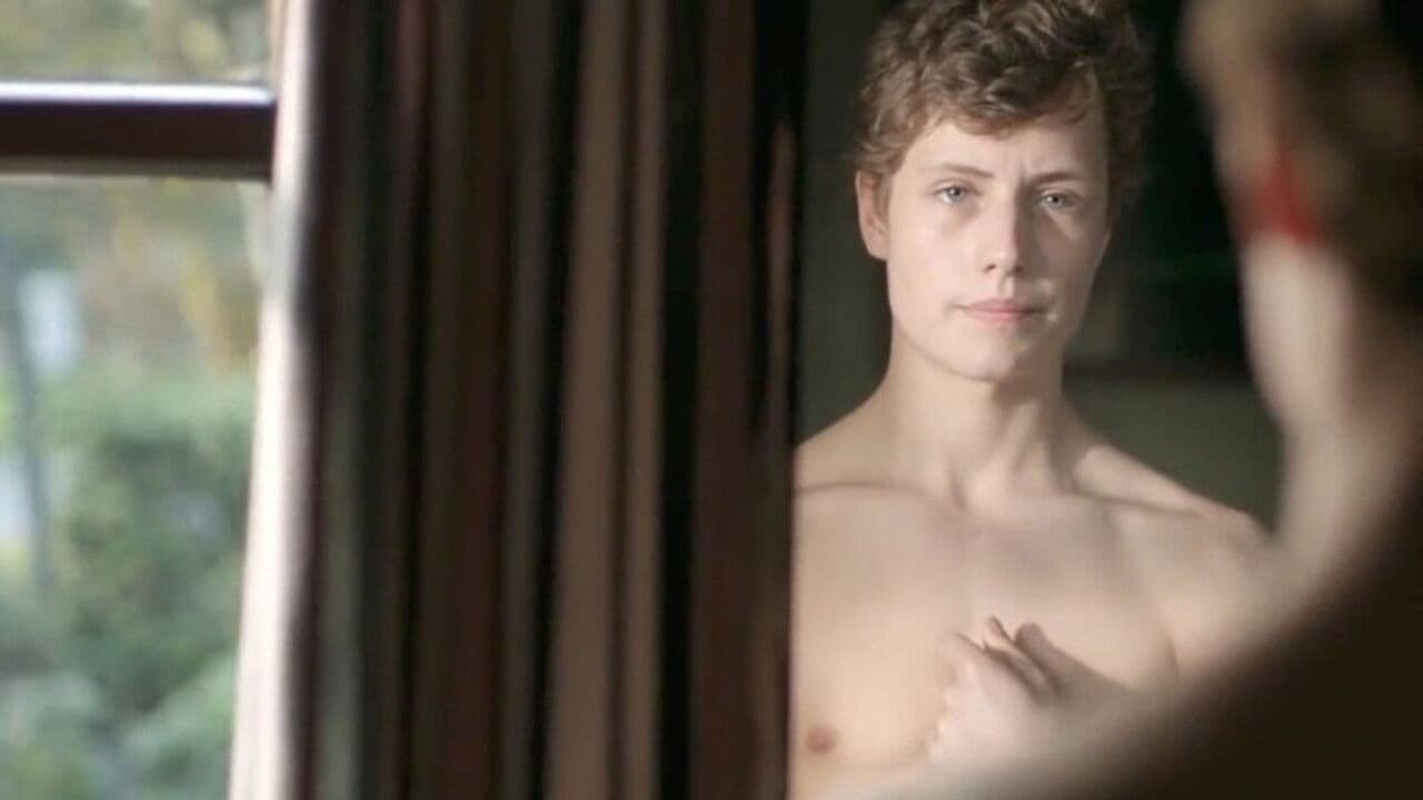 Dutch Touch backdrop