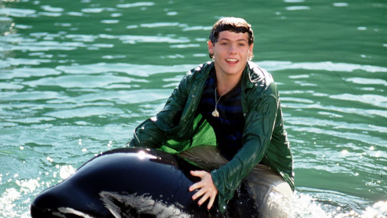 Sauvez Willy 3 : La poursuite backdrop