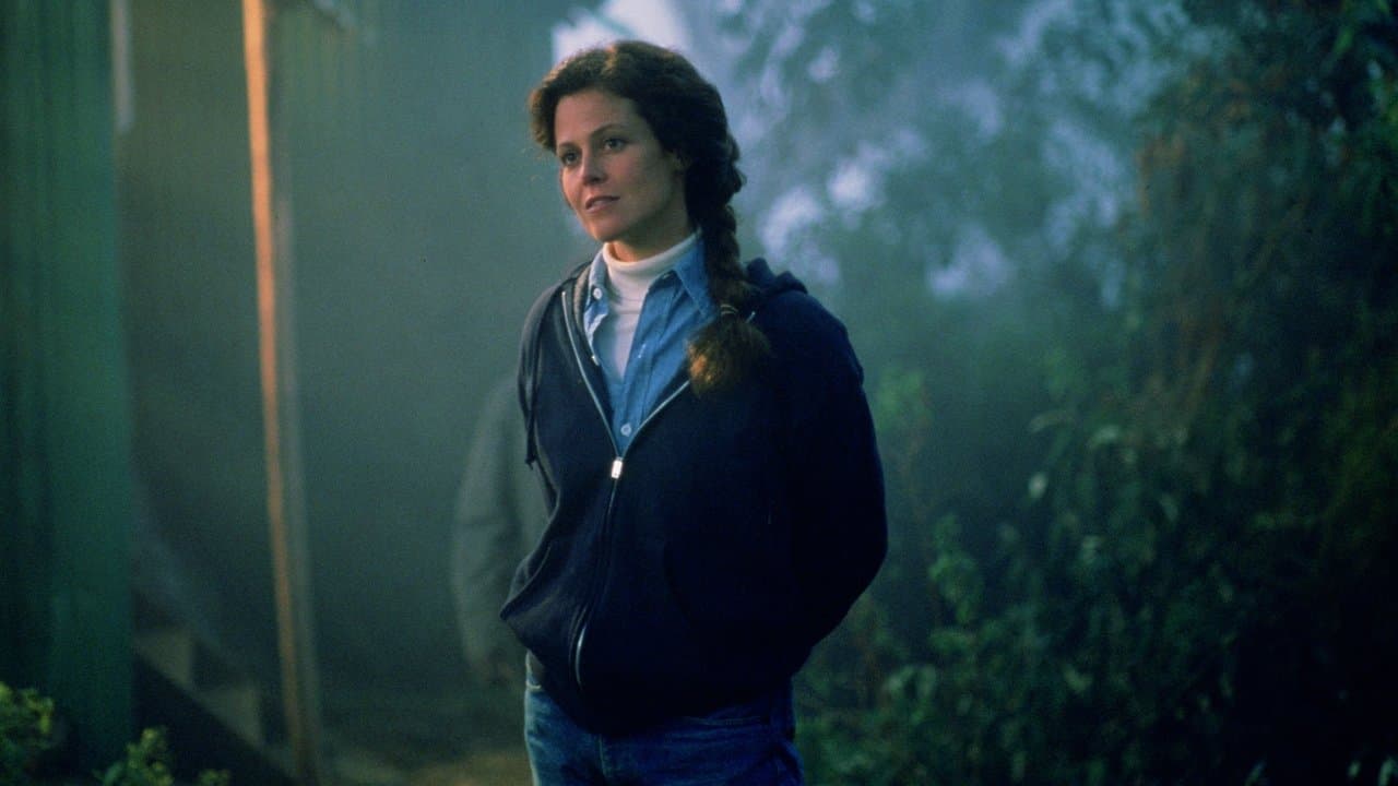 Gorilles dans la Brume backdrop