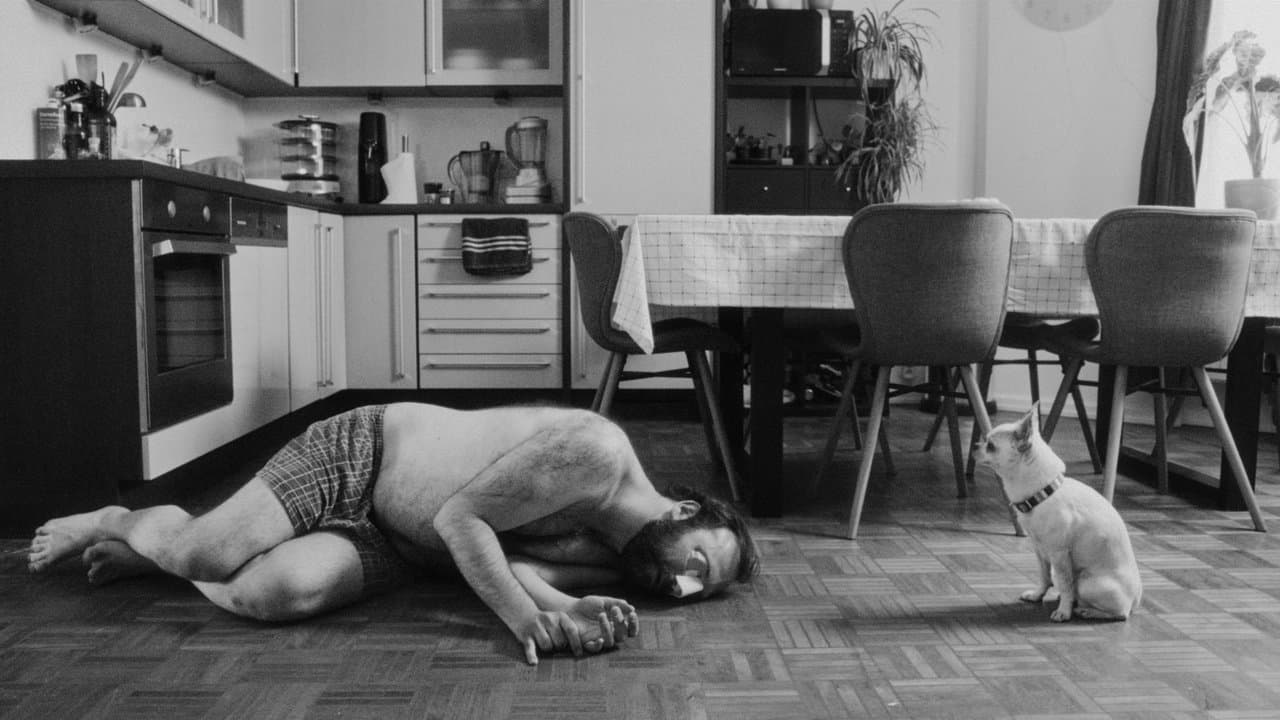 Chiennes de vies backdrop