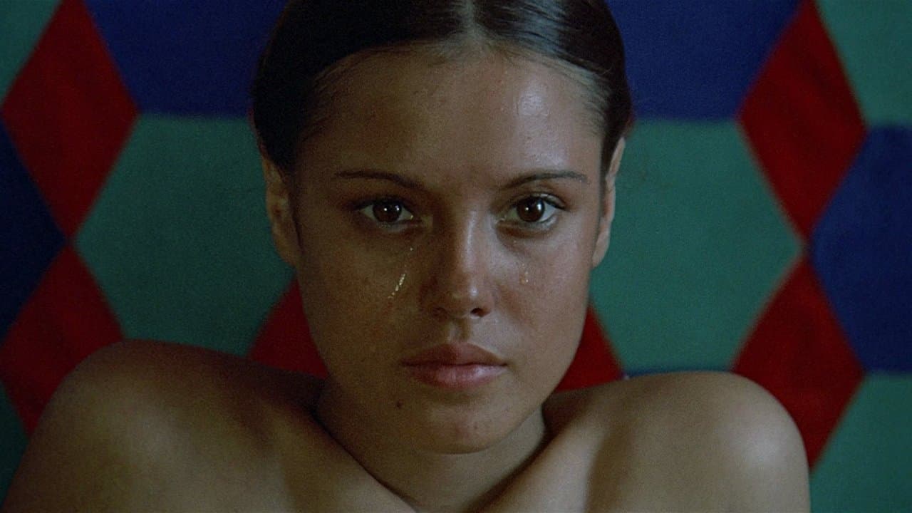 Il fiore delle Mille e una notte backdrop