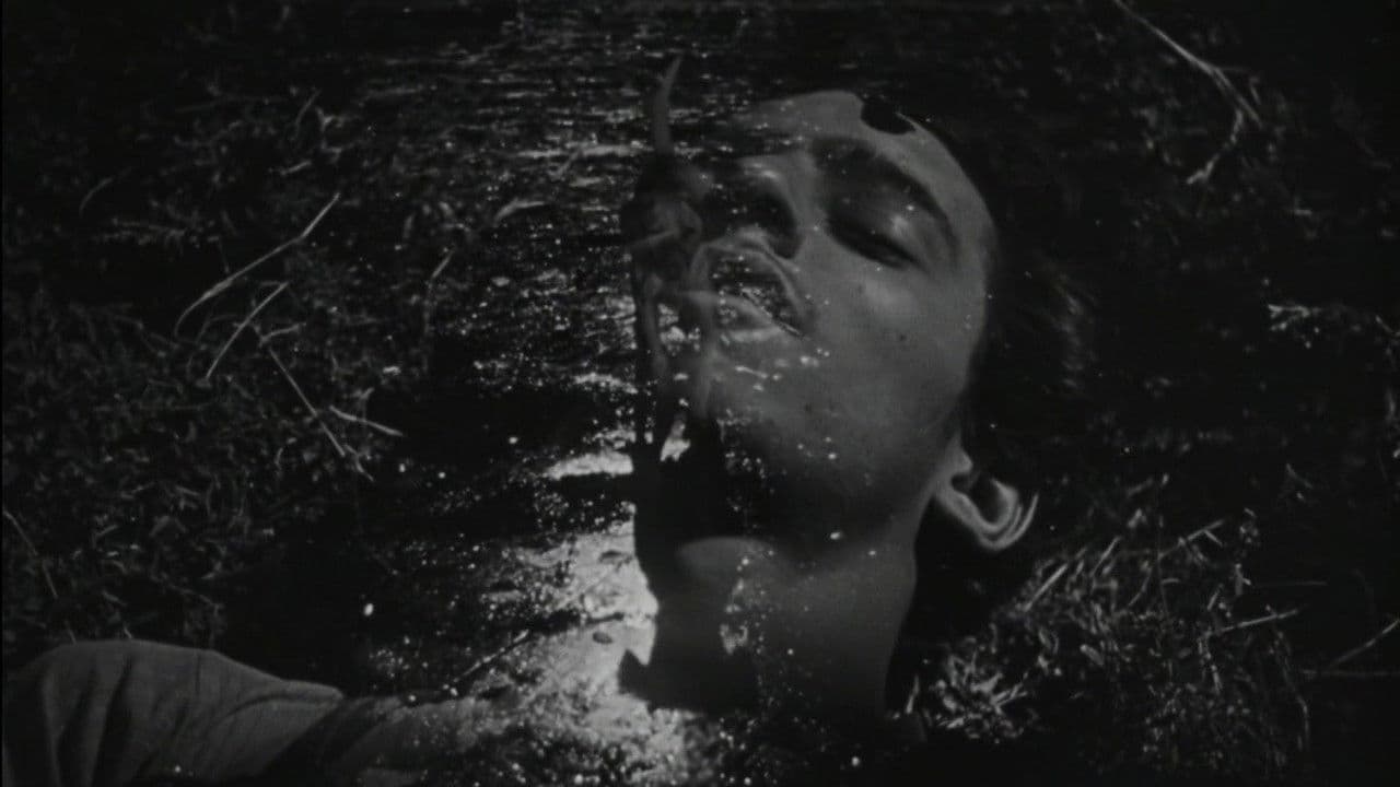 The Young and the Damned backdrop