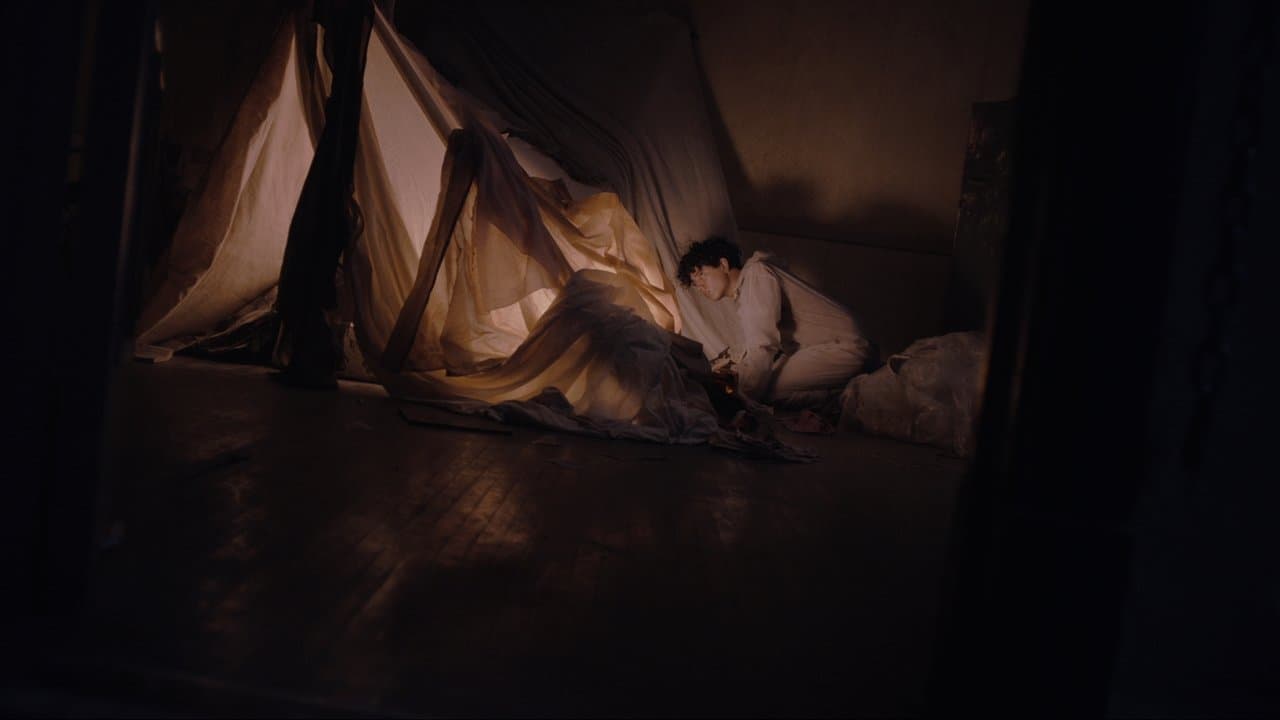 Tenemos la carne backdrop