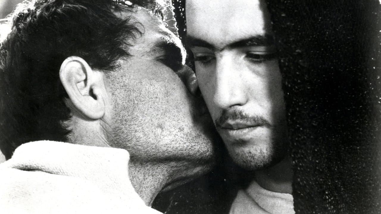 The Gospel According to St. Matthew backdrop