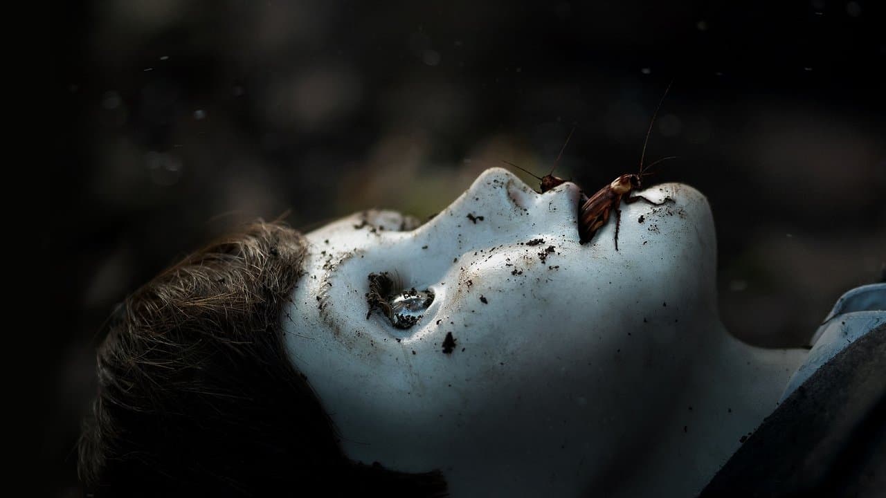 The Boy : La malédiction de Brahms backdrop