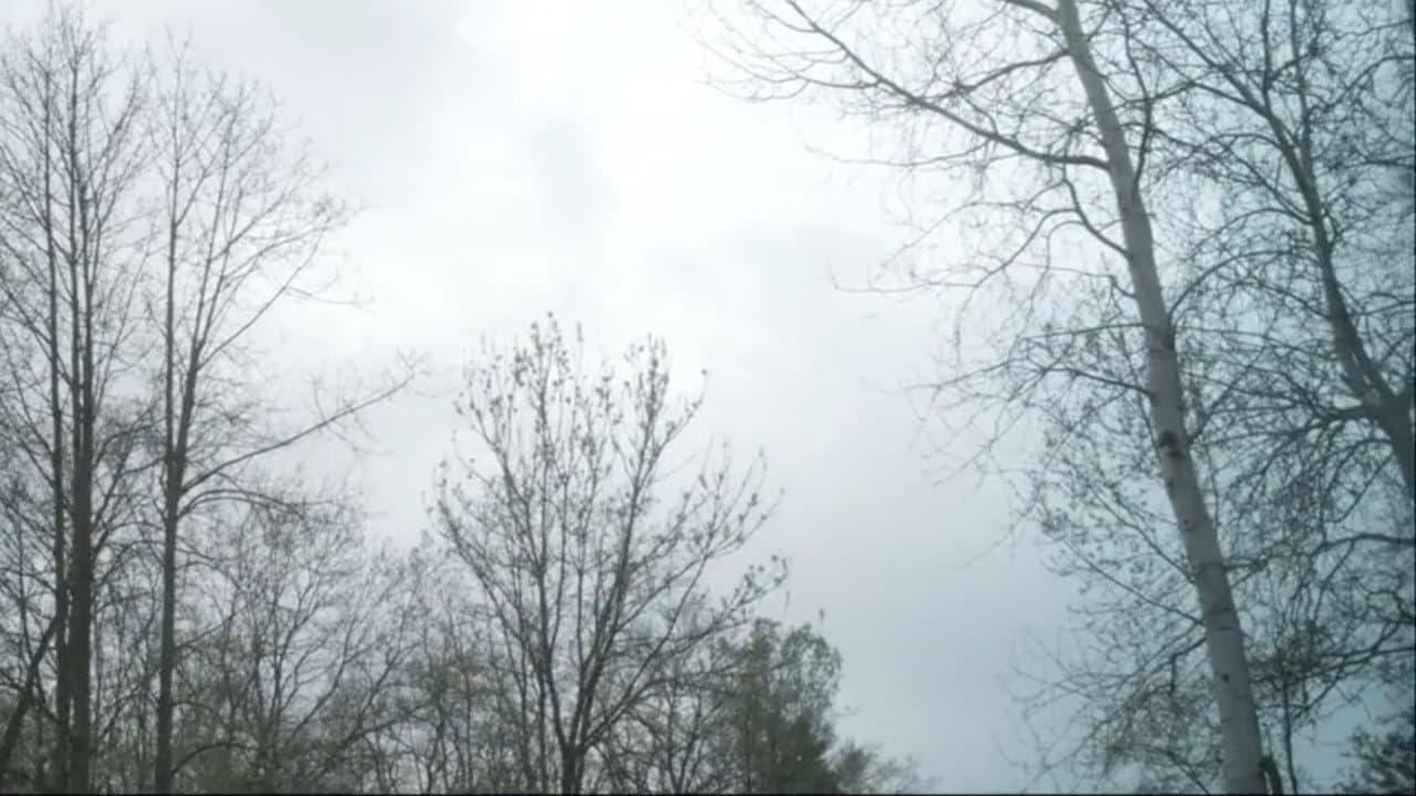 La Traversée backdrop