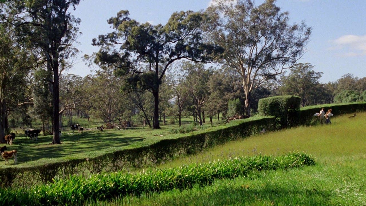 Ma brillante carrière backdrop