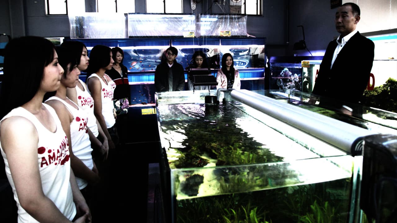 Tsumetai Nettaigyo backdrop