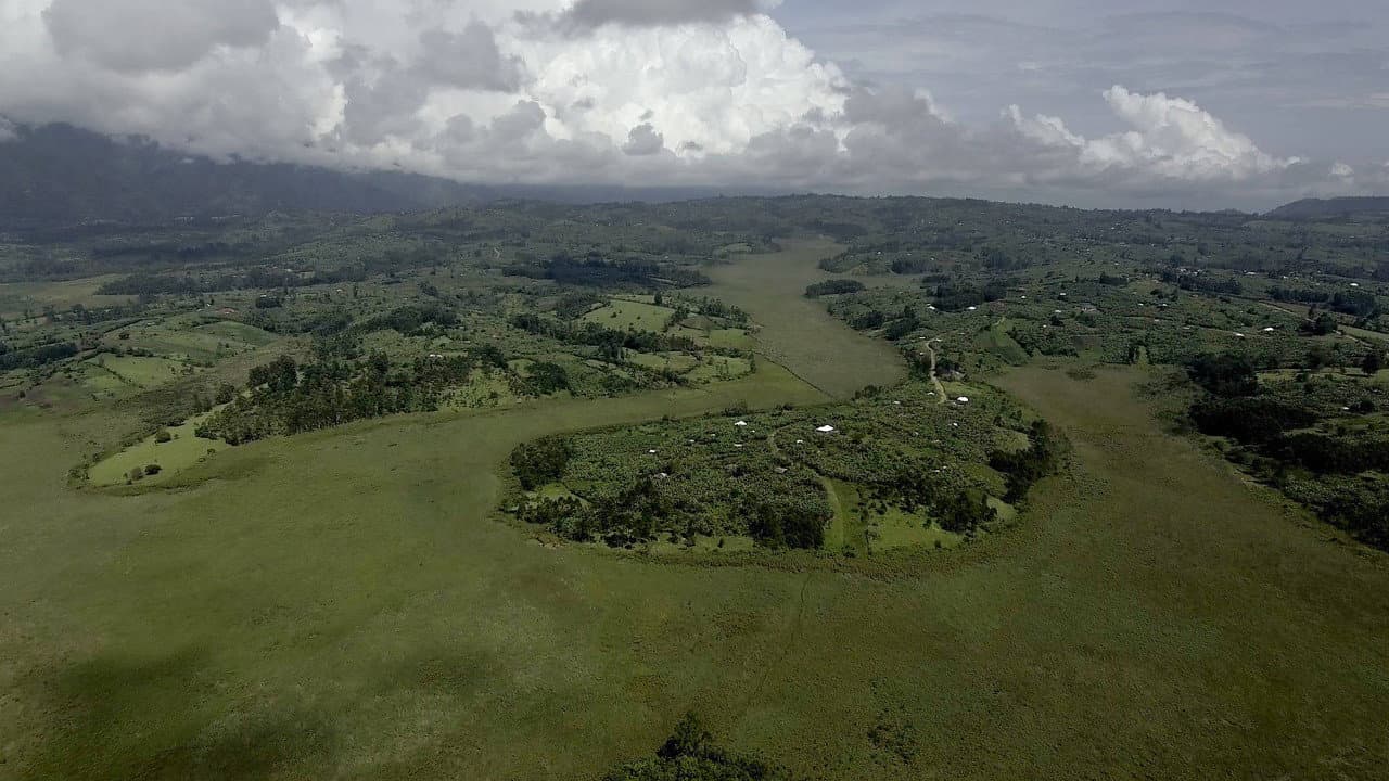 Crazy Money backdrop