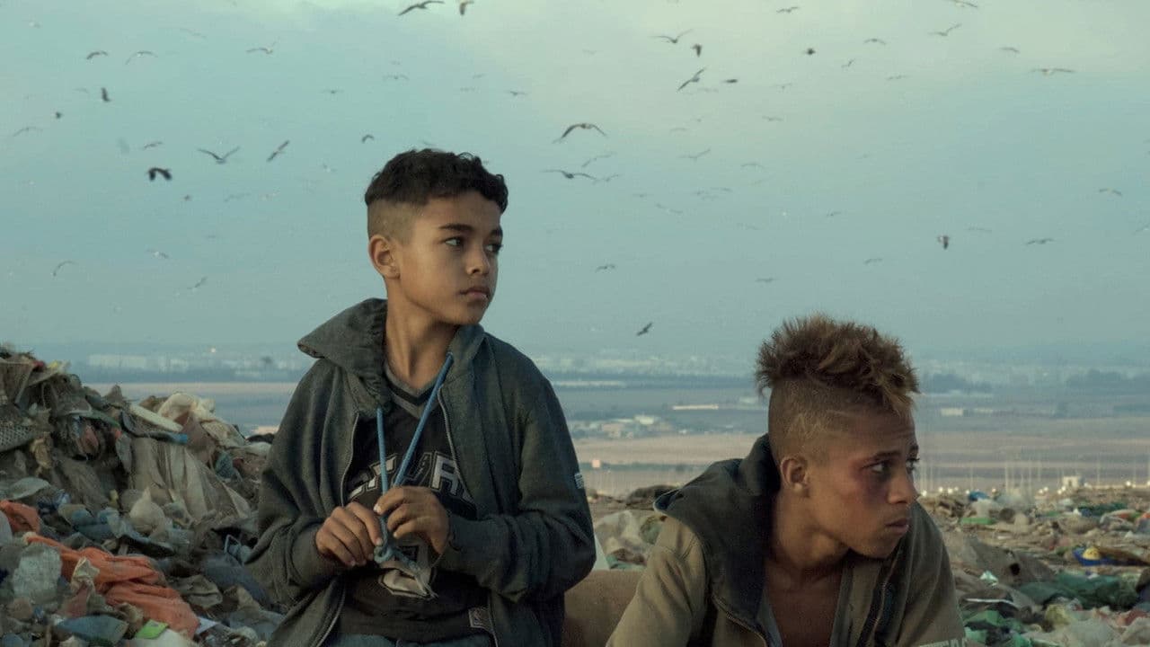 Dernier Round backdrop