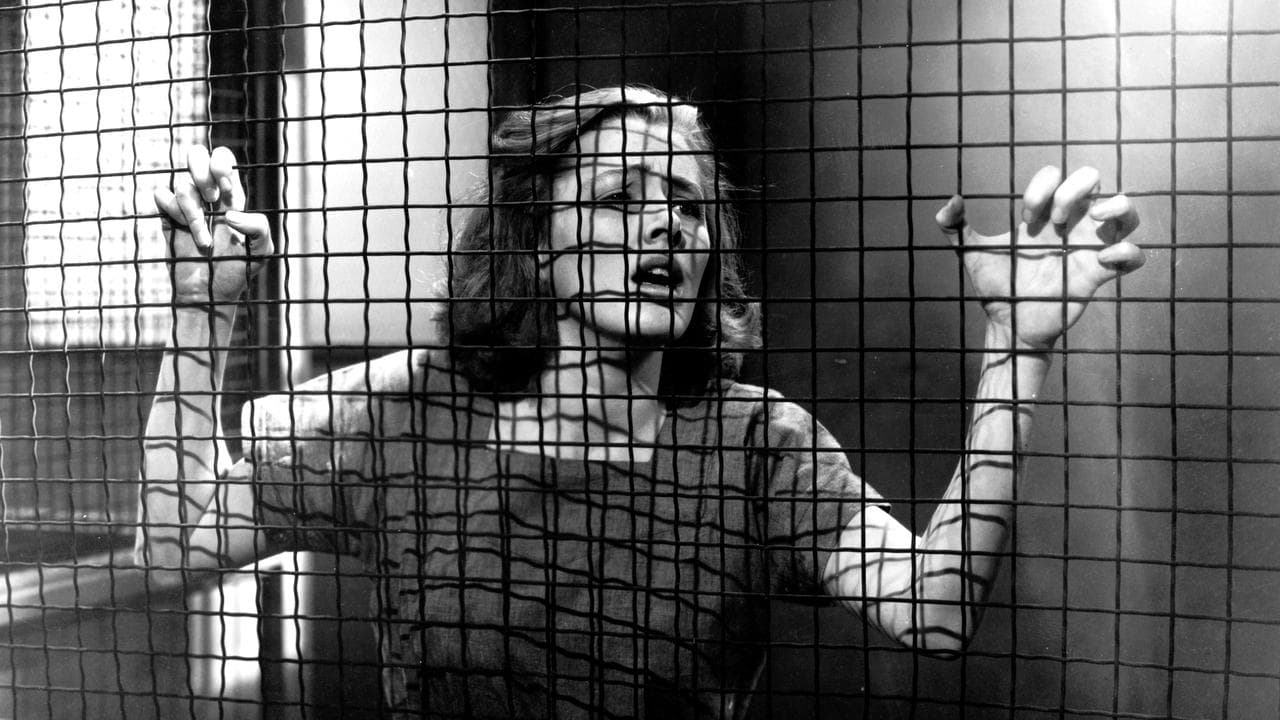 Femmes en cage backdrop