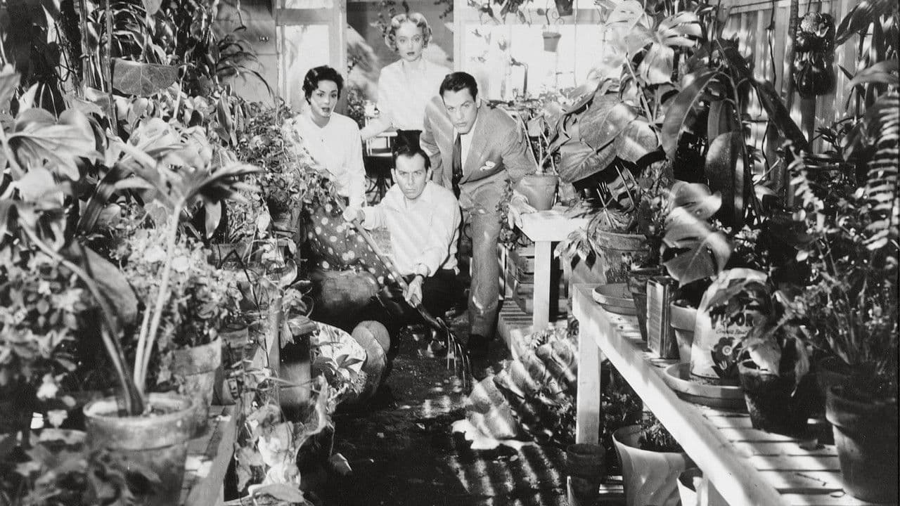 L'Invasion des profanateurs de sépultures backdrop