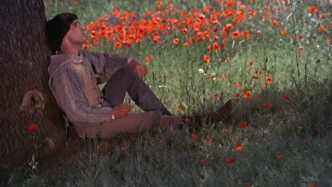 Fratello sole, sorella luna backdrop