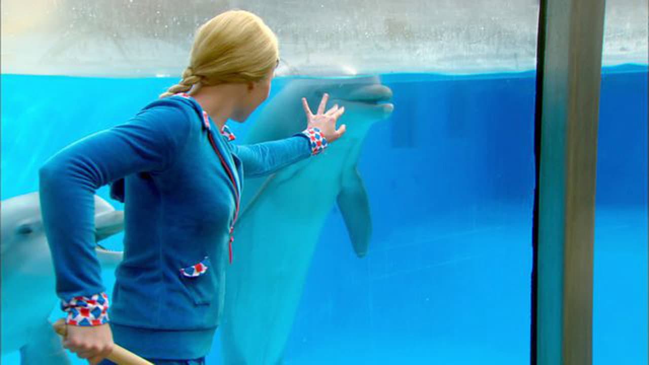Mega Mindy : Le Vol des Dauphins backdrop