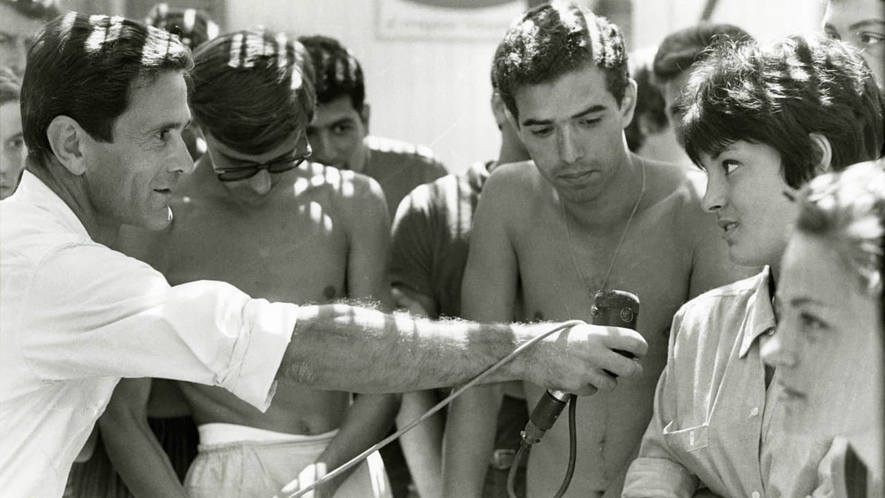 Comizi d'amore backdrop