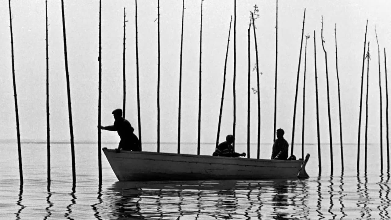 Pour la suite du monde backdrop