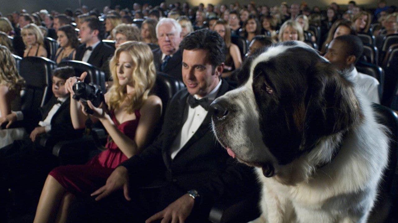 Beethoven 6 : Une star est née ! backdrop