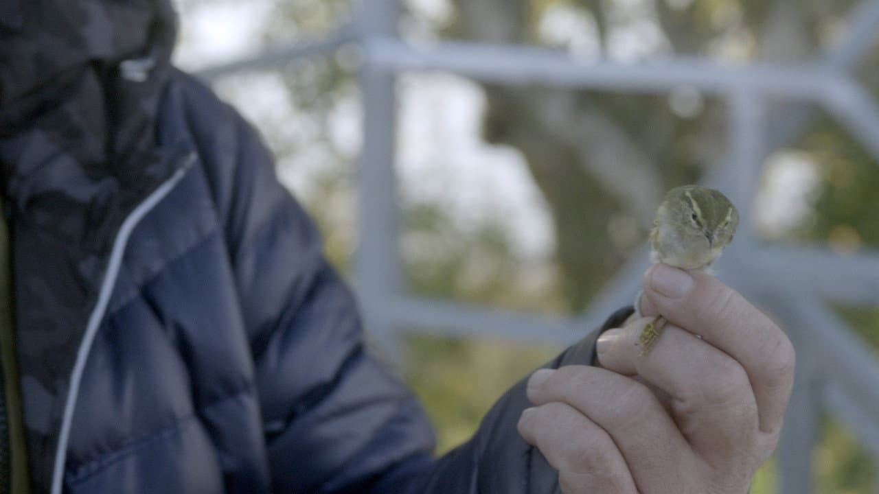 Before They Meet backdrop