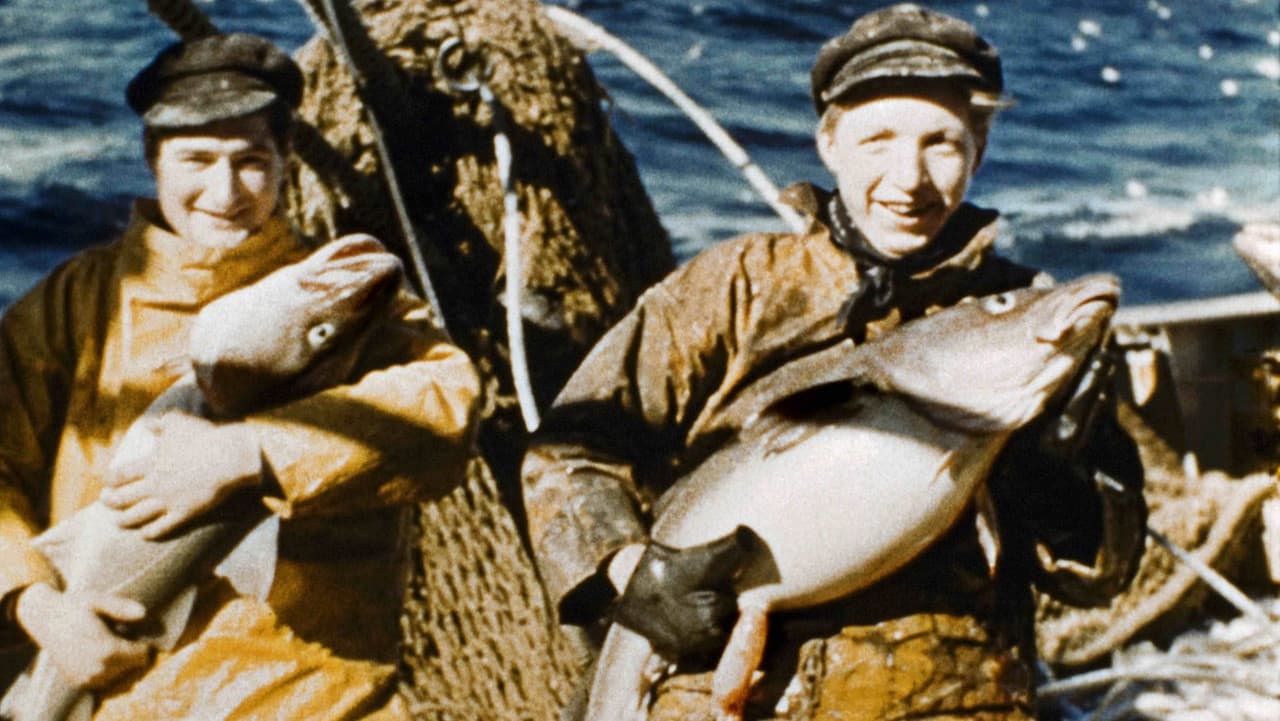 Le Voyage Documentaire de Madame Anita Conti backdrop