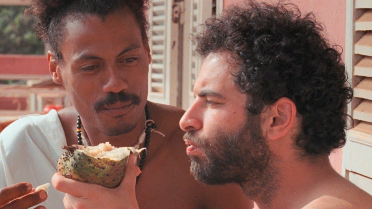 O Riso e a Faca backdrop