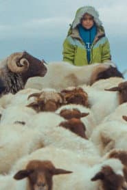 The Price of the Sun