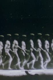 The Memory of the Eye E.J. Marey