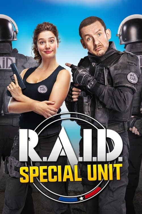 RAID Dingue poster