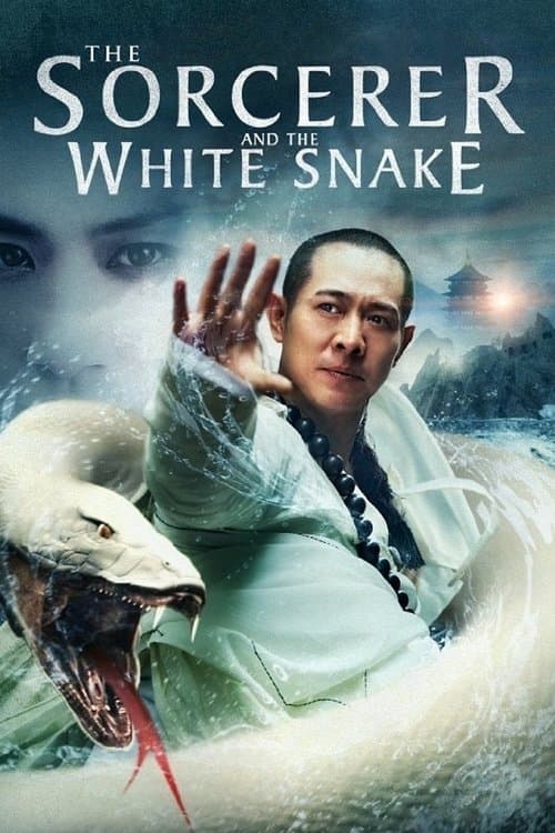 Le Sorcier et le Serpent blanc poster
