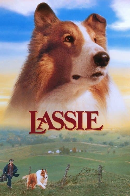 Lassie : Des amis pour la vie poster