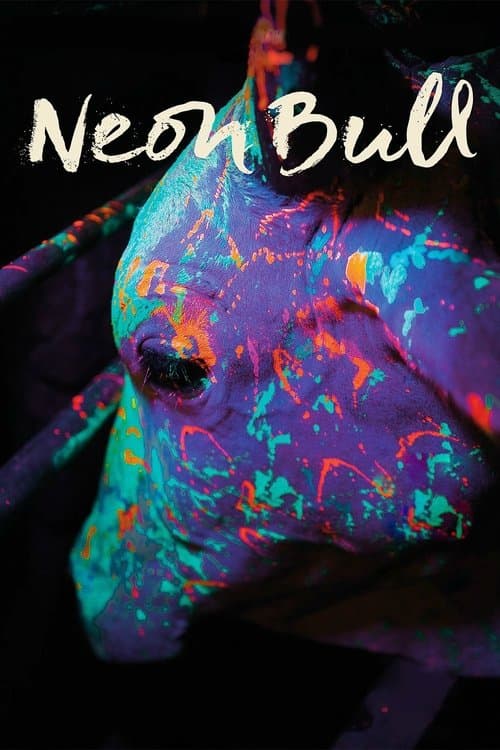 Boi Neon poster