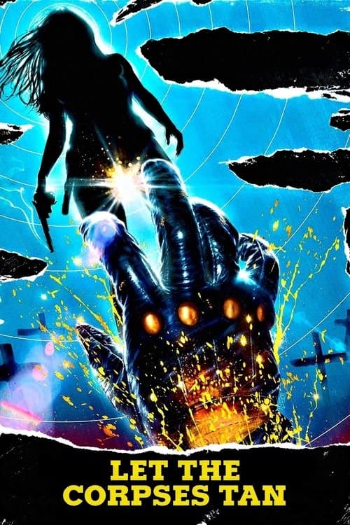 Laissez bronzer les cadavres poster
