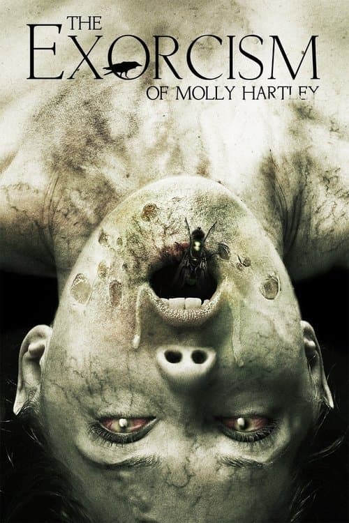 L'Exorcisme de Molly Hartley poster