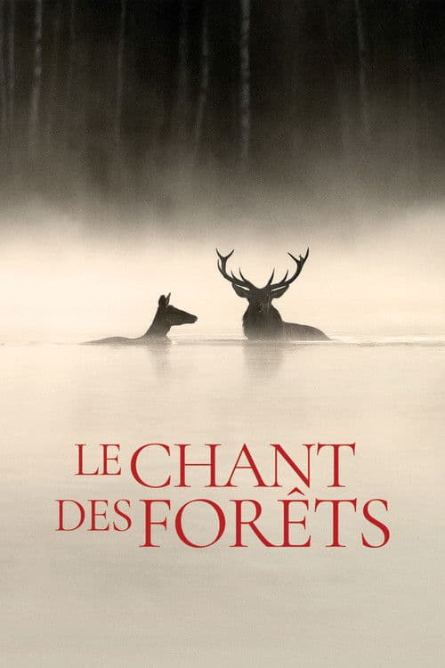 Le chant des forêts