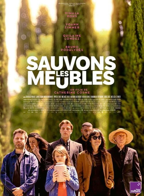 Sauvons les meubles poster