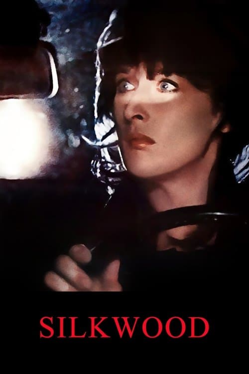 Le Mystère Silkwood poster