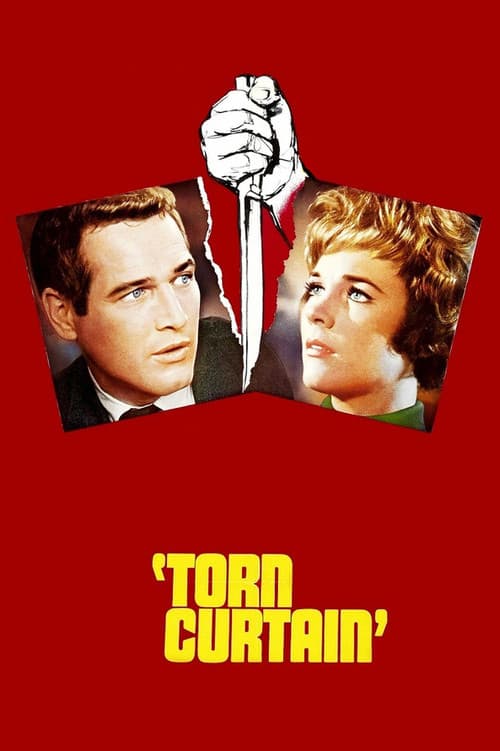 Le Rideau déchiré poster